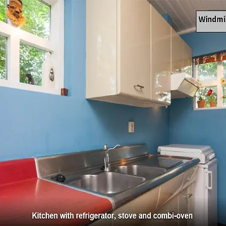 Windmills Heart Of Holland Holiday home